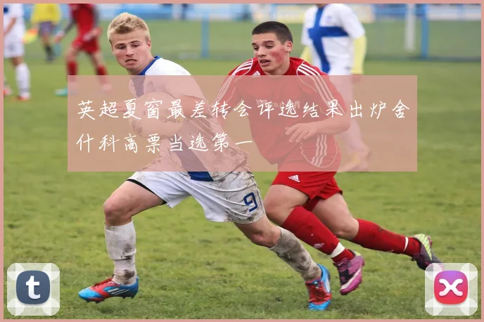 英超夏窗最差转会评选结果出炉舍什科高票当选第一