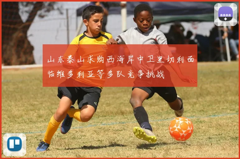 山东泰山求购西海岸中卫里切利面临维多利亚等多队竞争挑战