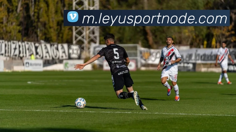 乐鱼体育平台生态图