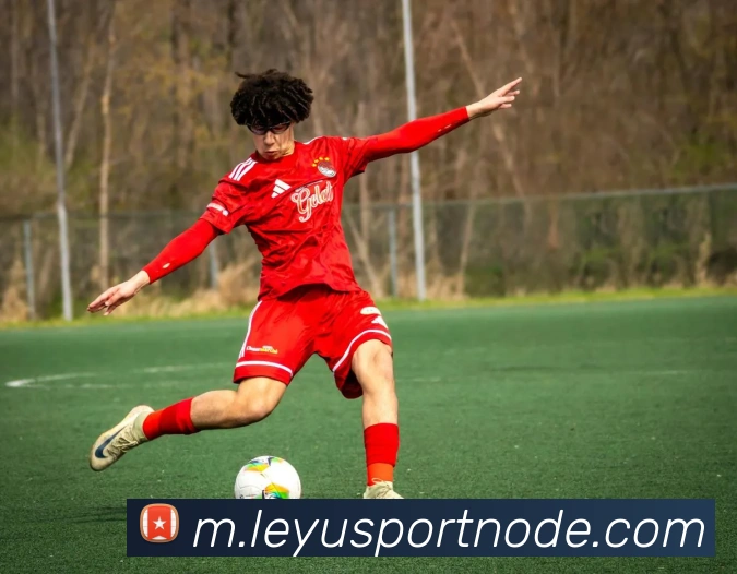 乐鱼体育APP 封面图